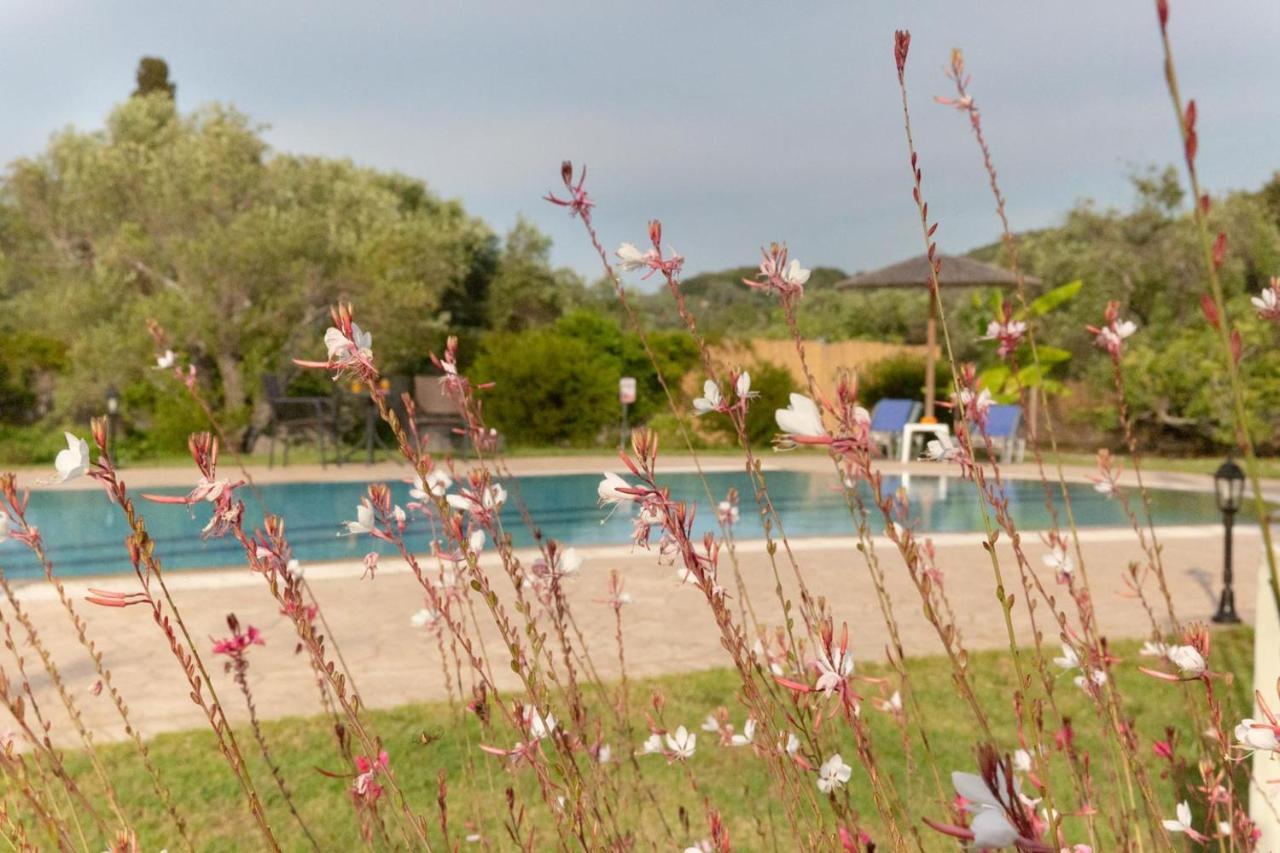 Villa Adonis Halikounas Extérieur photo